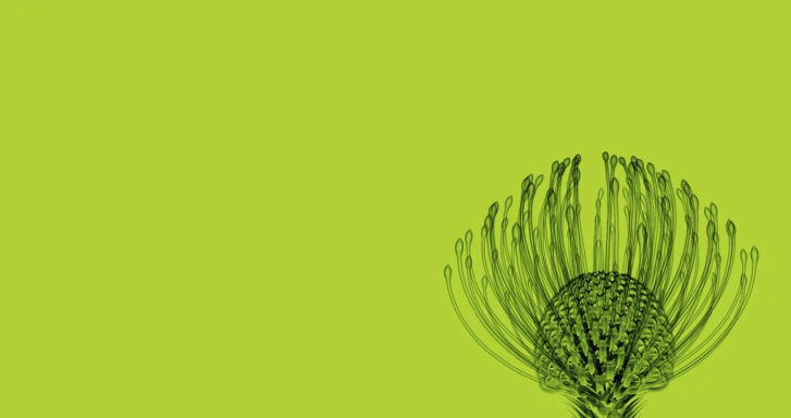 Sistema de inspección por rayos X de Mekitec con visualización de flor