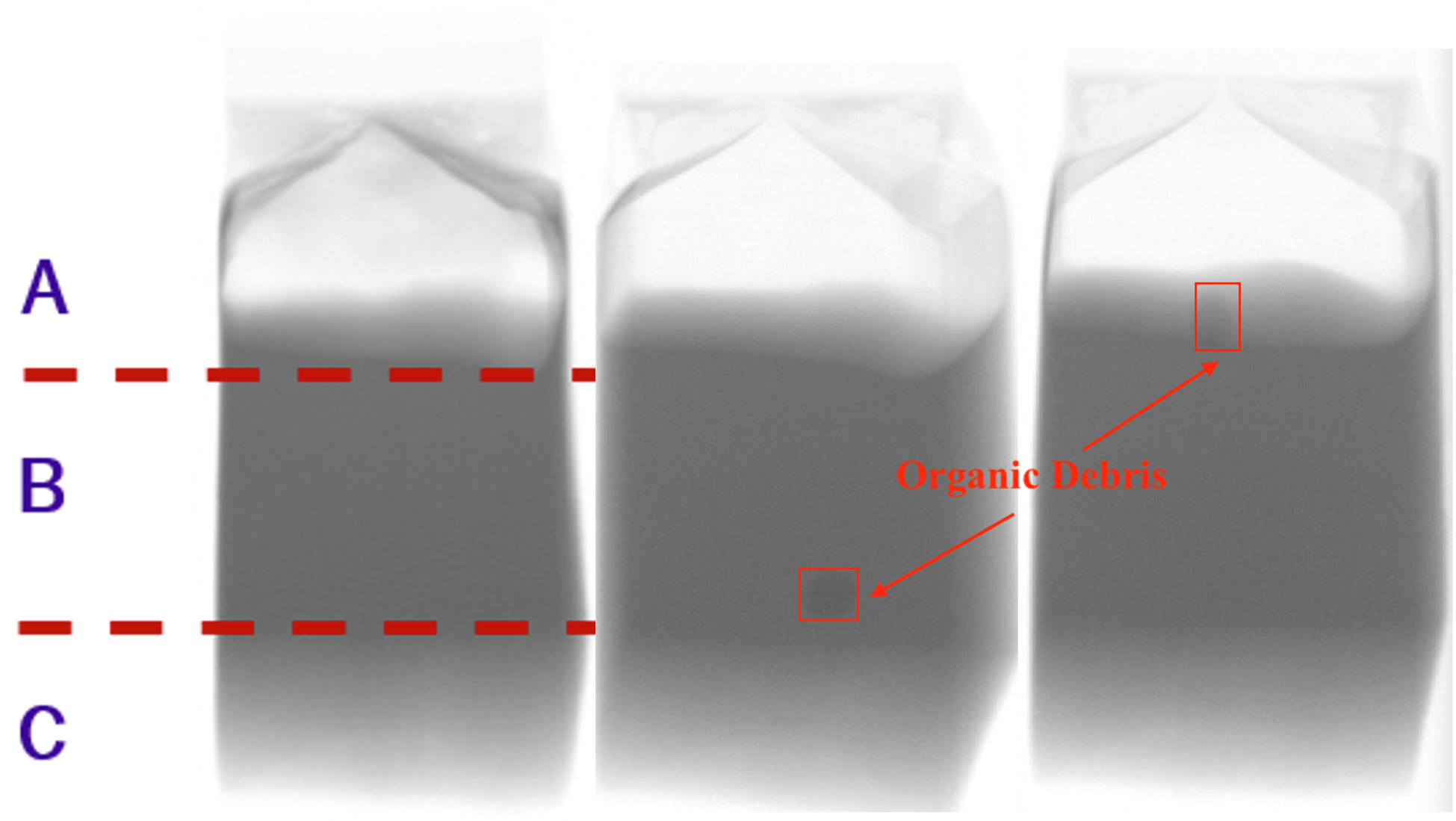 Detection of organic material