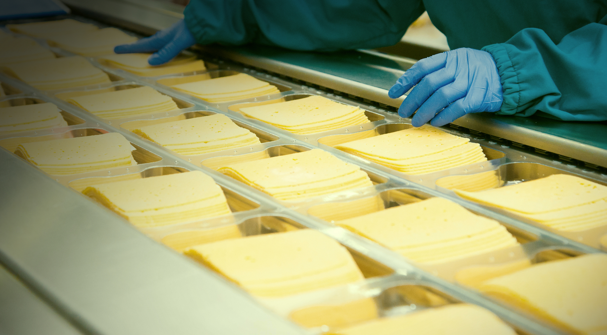 Detect Safety Hazards from Cheese Products